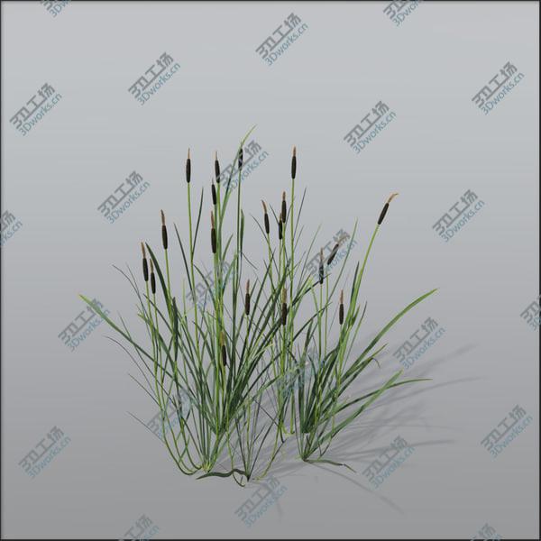 images/goods_img/20210312/Archviz grasses vol.1/3.jpg
